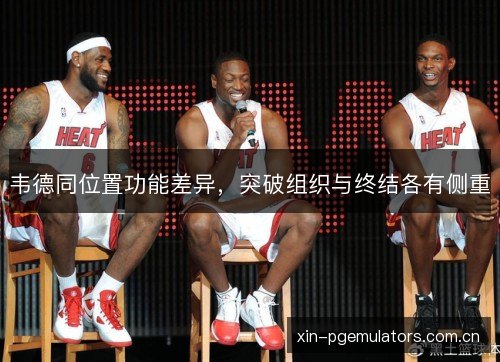韦德同位置功能差异,突破组织与终结各有侧重 韦德同位置功能差异,突破组织与终结各有侧重